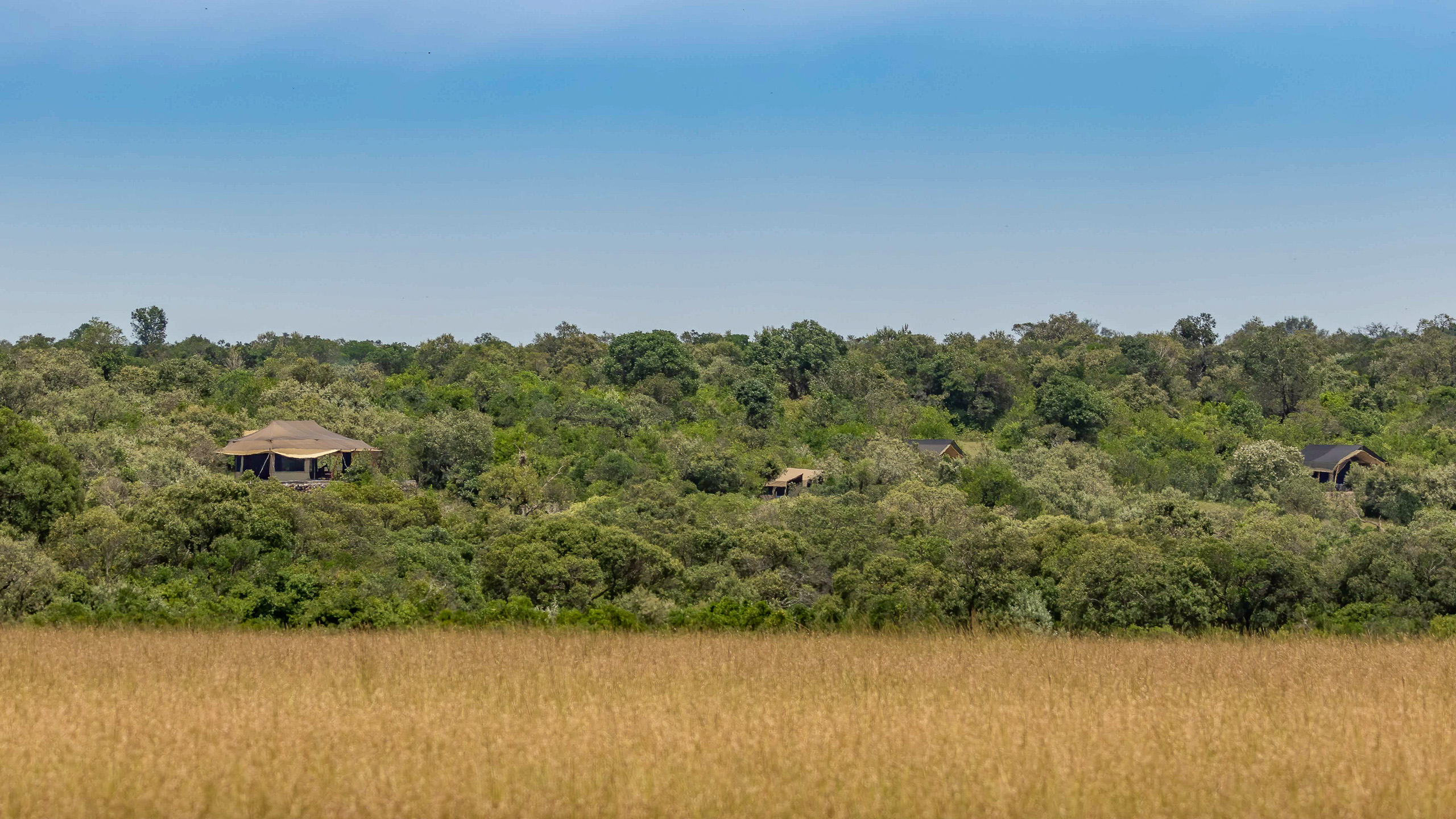 Martin van Herwaarden – 20200305-2020-03-07 Maasai Mara (1218)-bewerkt–Canon Canon EOS 7D Mark II, 60-600mm F4.5-6.3 DG OS HSM | Sports 018 lens @ 204 mm, 1-500 sec at f – 6.3, ISO 100, -715827903-2147483647 EV ev-