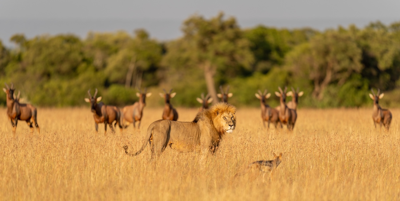 When Is the Best Time to Visit the Maasai Mara?