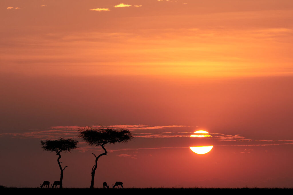 sunset Alan sunset in Lemek Maasai Mara