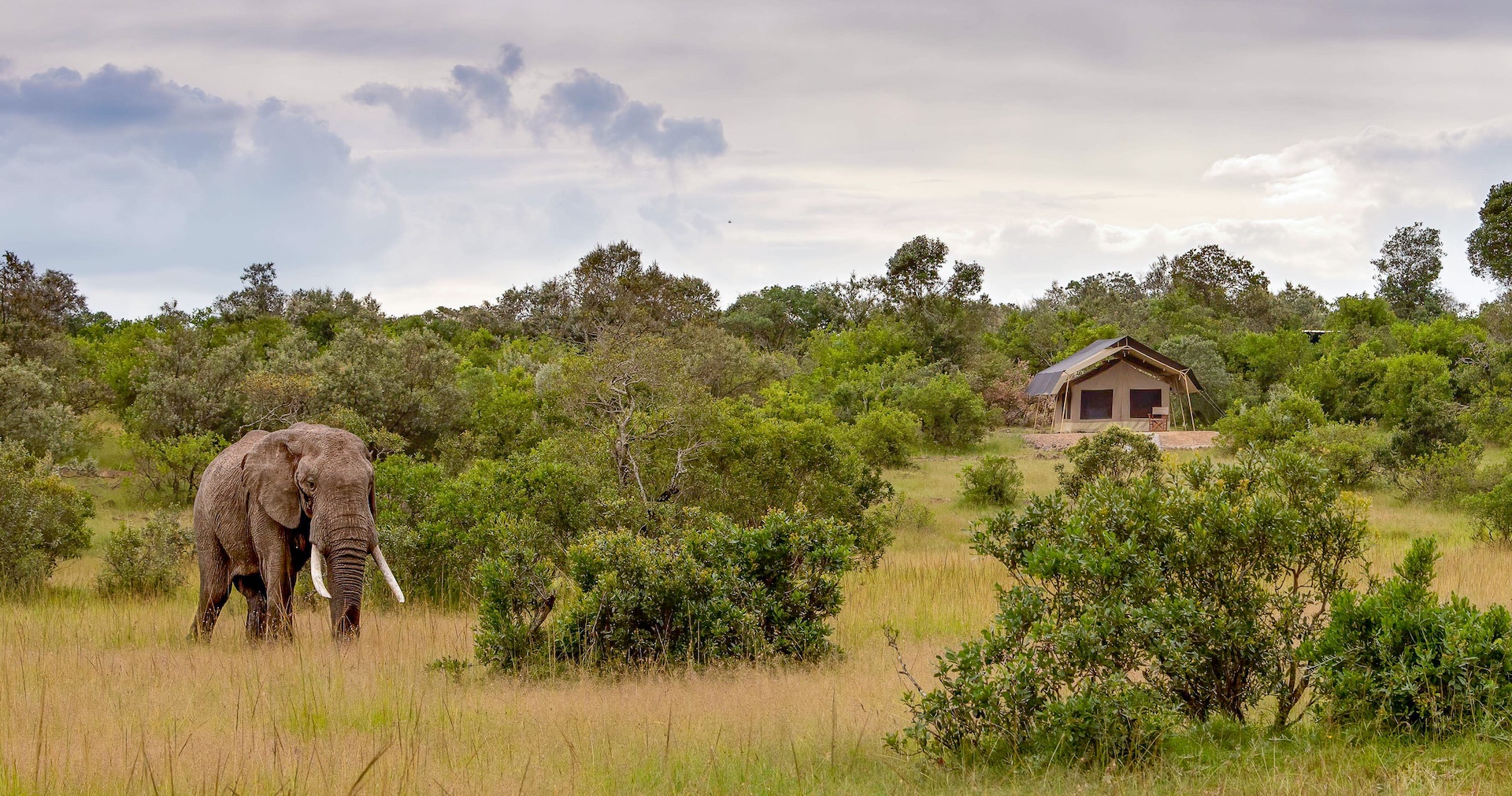 Family-Friendly Safari in the Mara: What to Expect at Mattikoko Camp