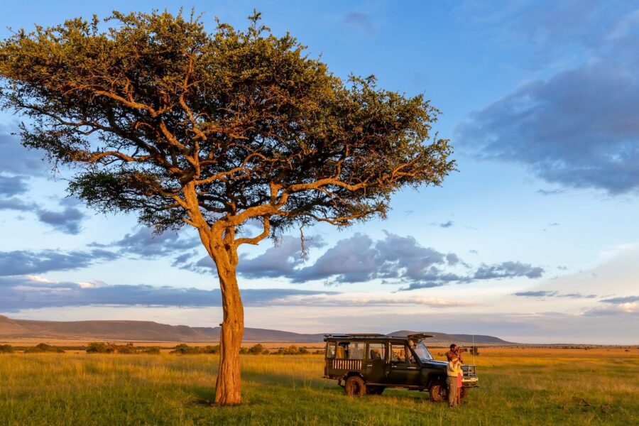 safari in Maasai Mara