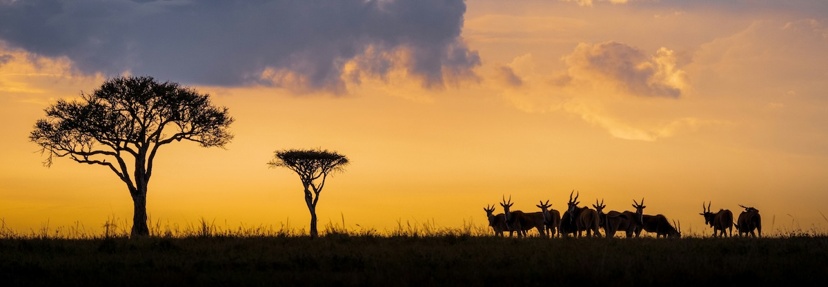The Complete Guide to Lemek Conservancy