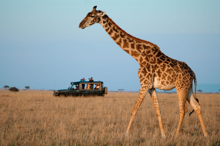 group of photographers next to a giraffe in Lemek Conservancy, the Maasai Mara