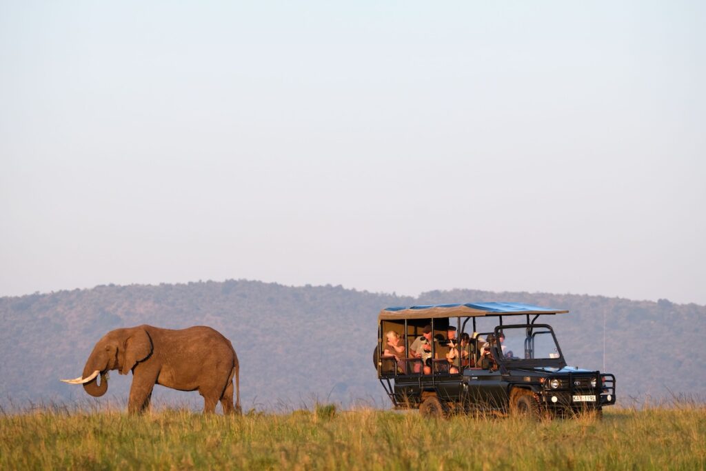 elephant, Alan photo safari in Lemek Conservancy in the Maasai Mara