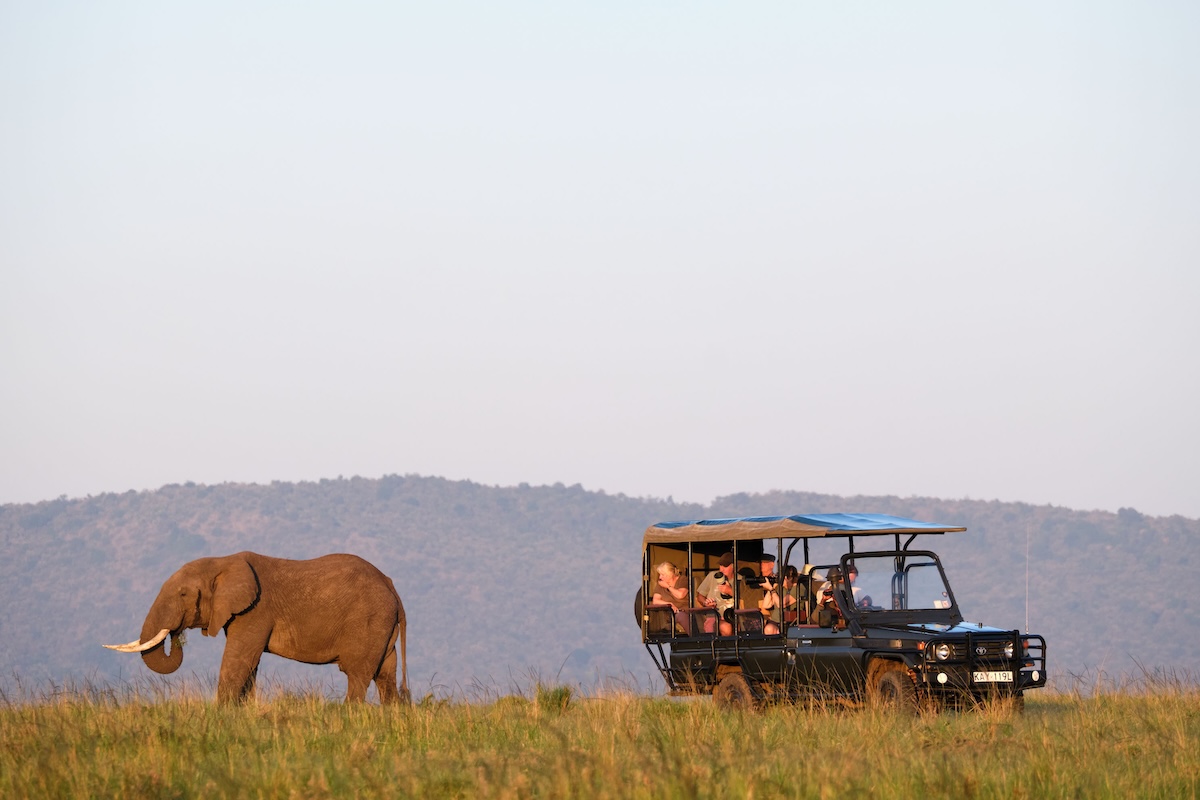 photo safari in Lemek Conservancy in the Maasai Mara