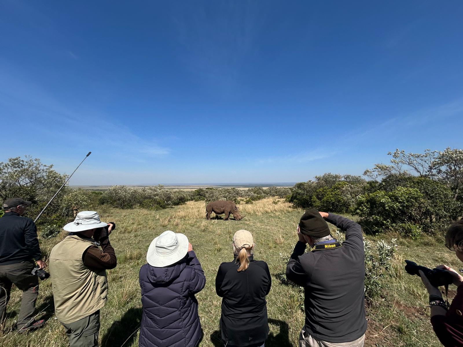 photographers photographing a rhino Maasai Mara