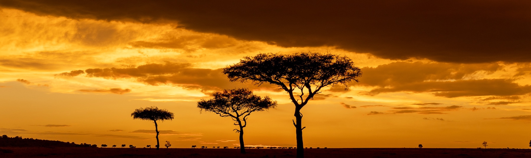 How to Get to Lemek Conservancy