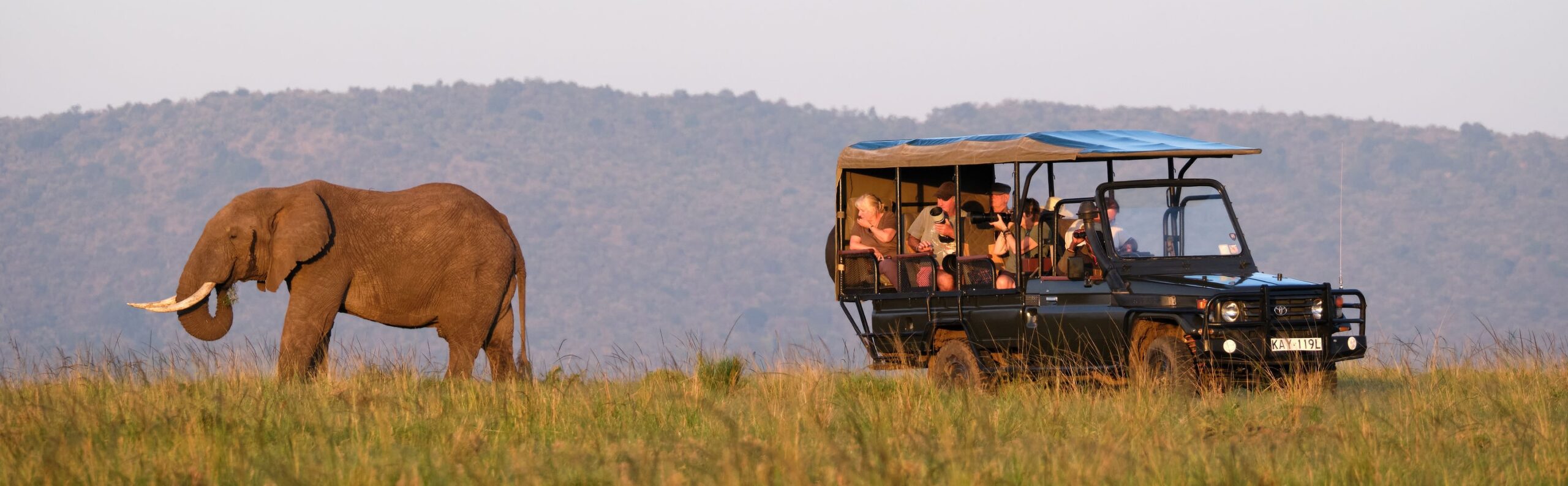 What to Expect on Your First Game Drive in the Maasai Mara