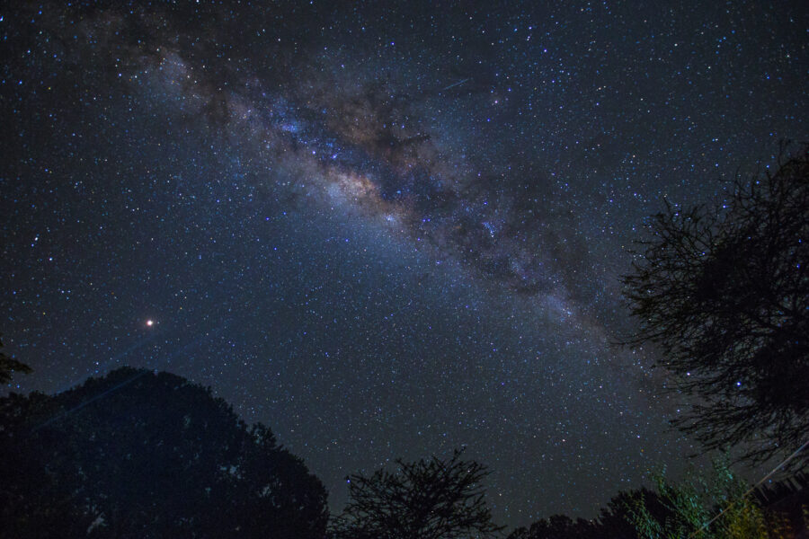 starry night above Maasai Mara on a night drive
