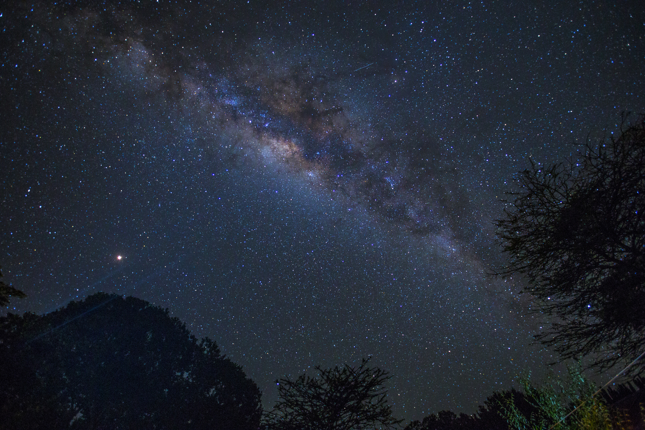 starry night above Maasai Mara on a night drive