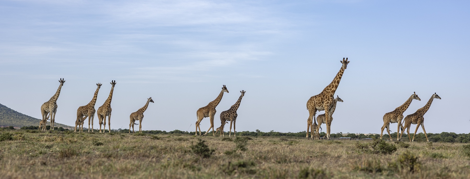 A Photographer’s Eye on Lemek Conservancy