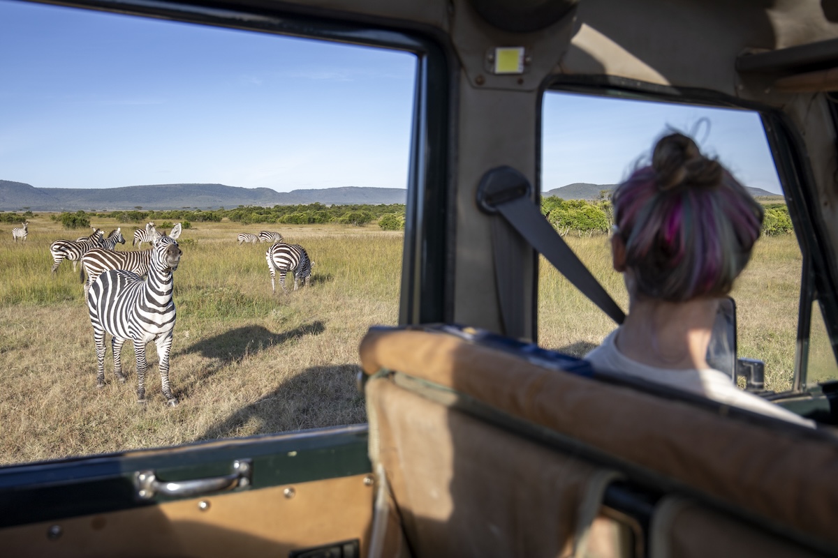 zebras during a game drive in Lemek Conservancy, Maasai Mara