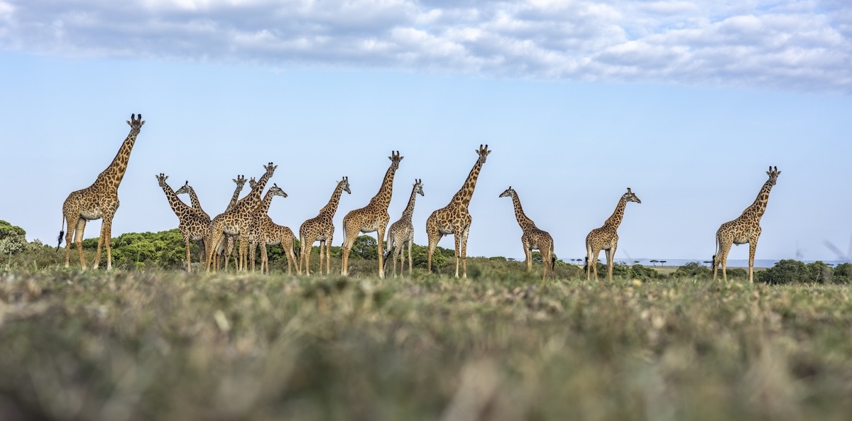Lemek Conservancy Throughout the Seasons